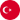 Türkçe